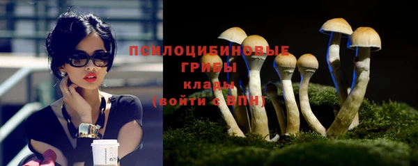 сатива Алексин