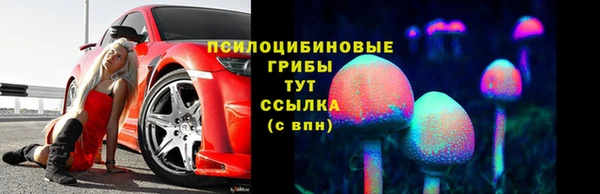 прущая мука Осинники