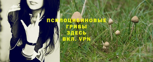 каннабис Алексеевка
