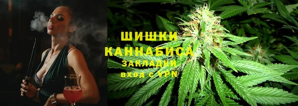 сатива Алексин